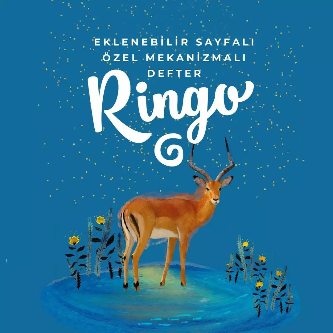 Hp Kartuş Siyah 953Xl